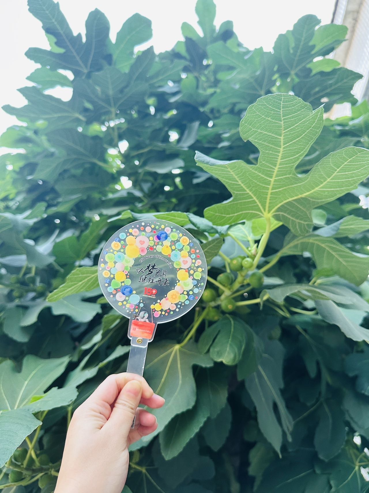 张雪芳 18136091705 2025-08-22 18:01:02