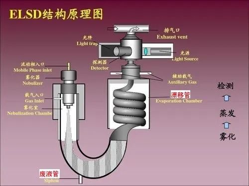 前方高能！ELSD绝世秘籍惨遭泄露！ | 岛津新媒体管理系统